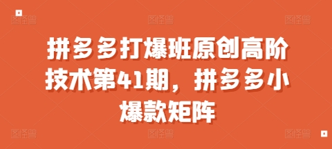 拼多多打爆班原创高阶技术第41期，拼多多小爆款矩阵-资源社