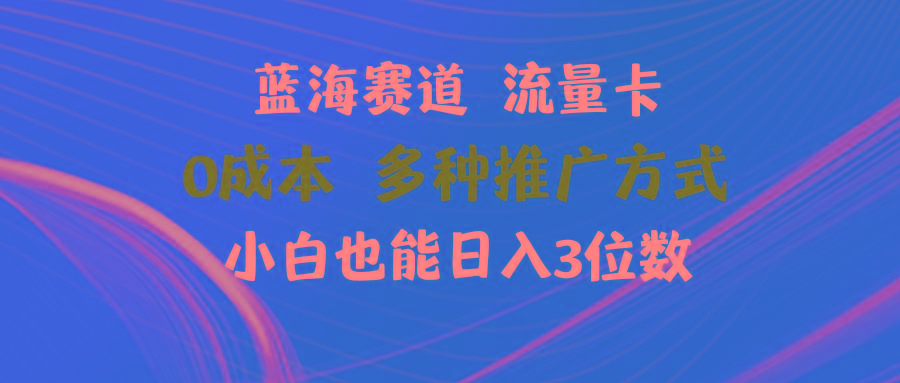 蓝海赛道 流量卡 0成本 小白也能日入三位数-资源社