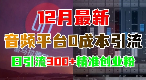 12月最新:音频平台0成本引流,日引流300+精准创业粉-资源社