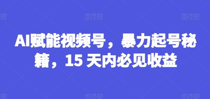 AI赋能视频号，暴力起号秘籍，15 天内必见收益【揭秘】-资源社