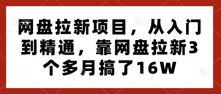 网盘拉新项目，从入门到精通，靠网盘拉新3个多月搞了16W-资源社