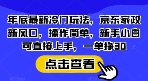 年底最新冷门玩法，京东家政新风口，操作简单，新手小白可直接上手，一单挣30【揭秘】-资源社