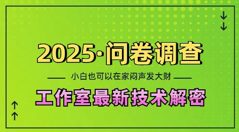 2025问卷调查最新工作室技术解密：一个人在家也可以闷声发大财，小白一天2张，可矩阵放大【揭秘】-资源社