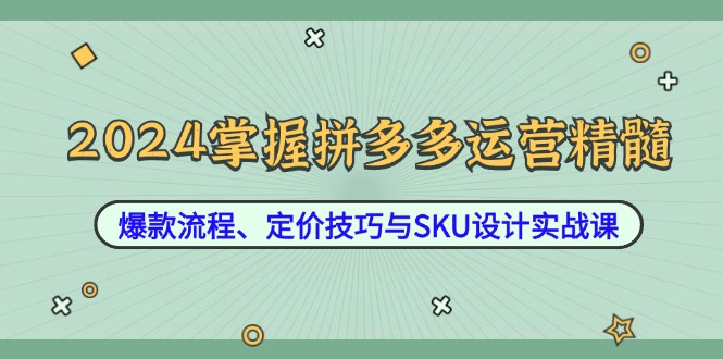 2024掌握拼多多运营精髓：爆款流程、定价技巧与SKU设计实战课-资源社