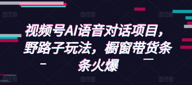 视频号AI语音对话项目，野路子玩法，橱窗带货条条火爆-资源社