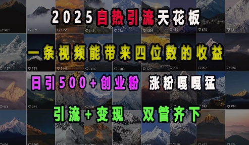 2025自热引流天花板，一条视频能带来四位数的收益，引流+变现双管齐下，日引500+创业粉，涨粉嘎嘎猛-资源社