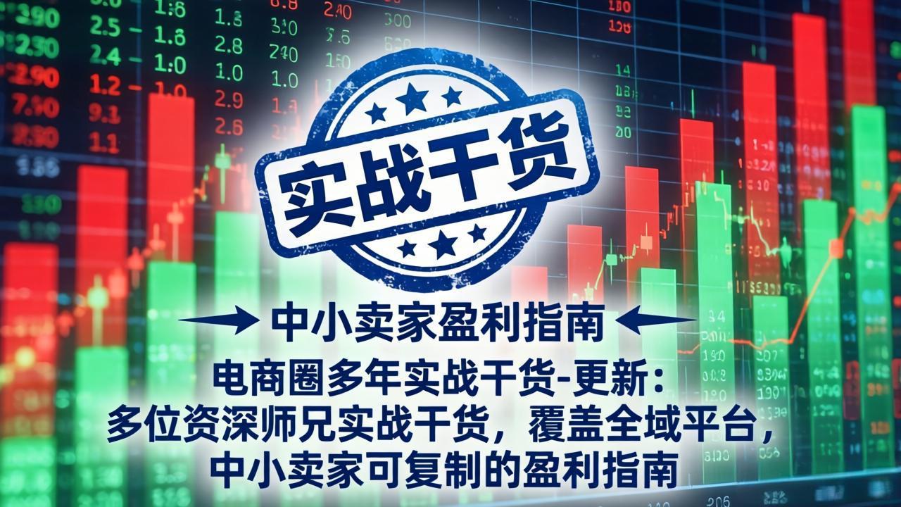 电商圈多年实战干货-更新5月10：多位资深师兄实战干货/覆盖全域平台，中小卖家可复制的盈利指南-资源社