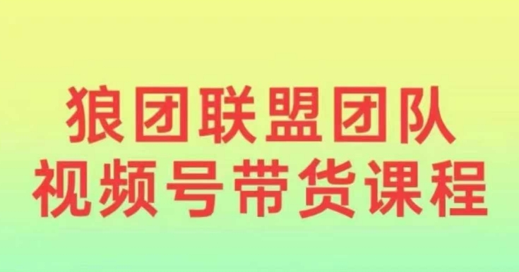 狼团联盟2024视频号带货，0基础小白快速入局视频号-资源社