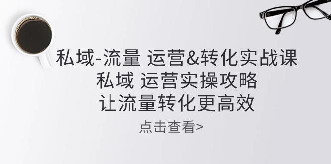 私域-流量 运营&转化实操课：私域 运营实操攻略 让流量转化更高效-资源社