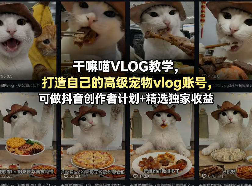 干嘛喵VLOG教学，打造自己的高级宠物vlog账号，可做抖音创作者计划+精选独家收益-资源社