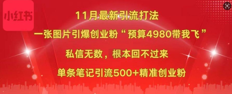 小红书11月最新图片打粉，一张图片引爆创业粉，“预算4980带我飞”，单条引流500+精准创业粉-资源社