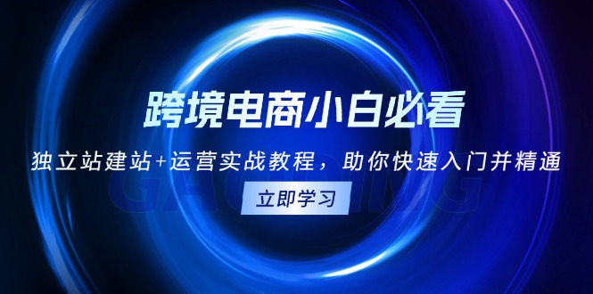 跨境电商小白必看！独立站建站+运营实战教程，助你快速入门并精通-资源社