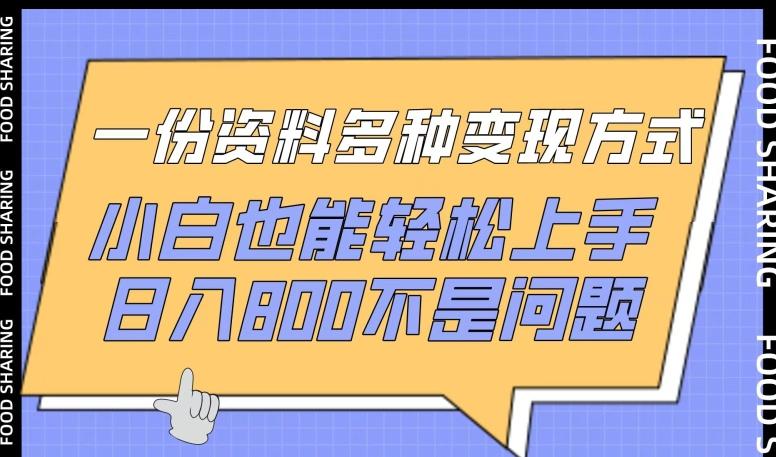 一份资料多种变现方式，小白也能轻松上手，日入800不是问题【揭秘】-资源社