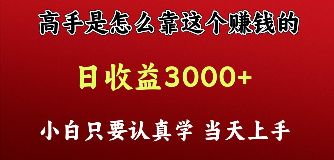 看高手是怎么赚钱的，一天收益至少3000+以上，小白当天上手-资源社