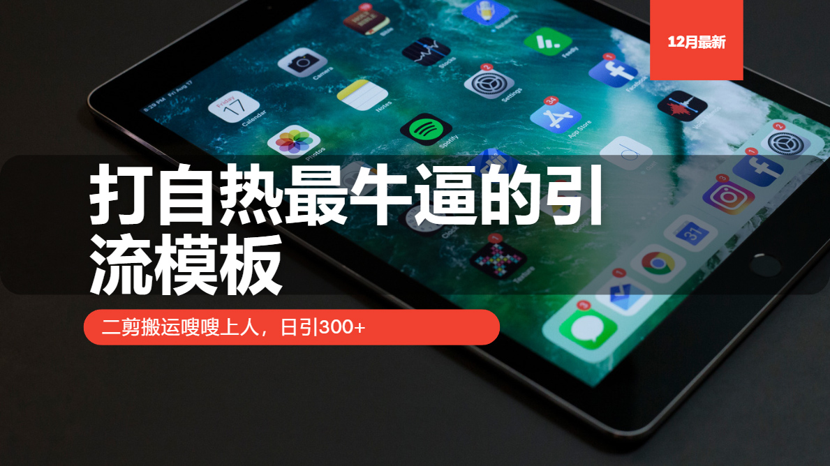 打自热最牛逼的引流模板,二剪搬运嗖嗖上人,日引300+-资源社
