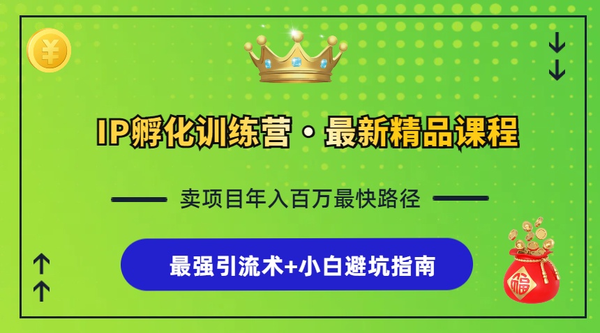 IP孵化训练营，知识付费全流程+最强引流术+小白避坑指南-资源社