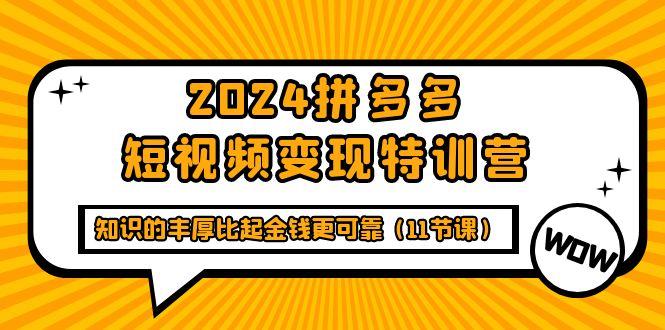 (9817期)2024拼多多短视频变现特训营，知识的丰厚比起金钱更可靠(11节课)-资源社