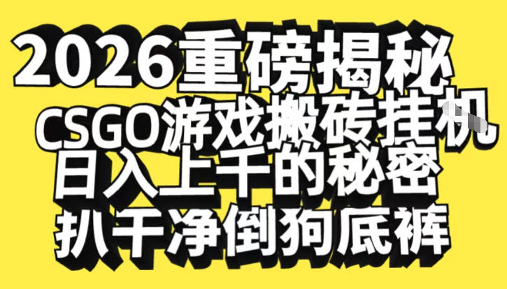 2026开年重磅解密，CSGO游戏搬砖挂G日入1k+的秘密，把倒狗的底裤扒干【揭秘】-资源社