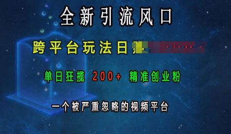 全新引流风口，跨平台玩法日入上k，单日狂揽200+精准创业粉，一个被严重忽略的视频平台-资源社