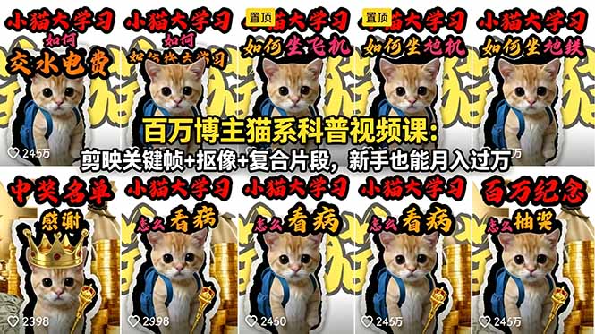 百万博主猫系科普视频课：剪映关键帧+抠像+复合片段，新手也能月入过万-资源社