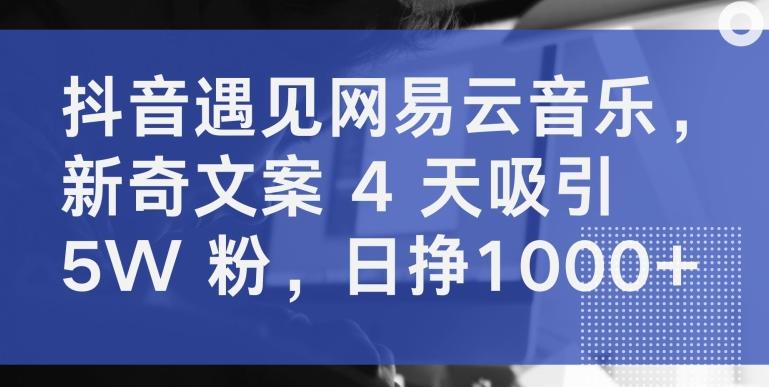 抖音遇见网易云音乐，新奇文案 4 天吸引 5W 粉，日挣1000+【揭秘】-资源社