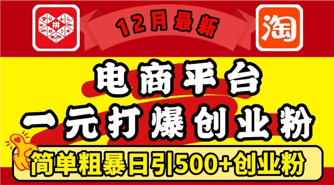 12月最新：电商平台1元打爆创业粉，简单粗暴日引500+精准创业粉，轻松月入过W【揭秘】-资源社