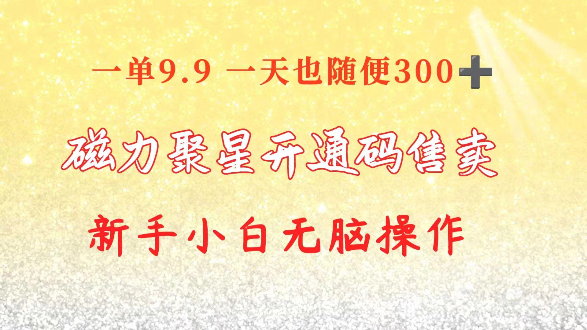 快手磁力聚星码信息差 售卖  一单卖9.9  一天也轻松300+ 新手小白无脑操作-资源社