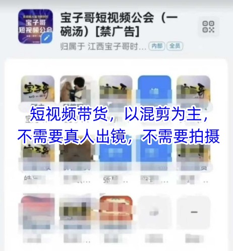 宝子哥头部团队短视频带货，以混剪为主，不需要真人出镜，不需要拍摄【更新26年1月】-资源社
