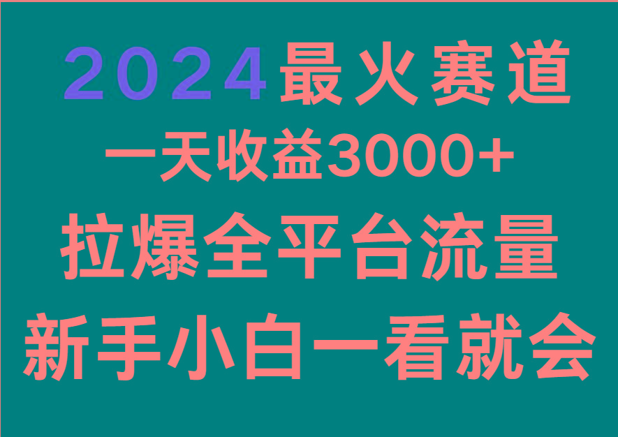 2024最火赛道，一天收一3000+.拉爆全平台流量，新手小白一看就会-资源社