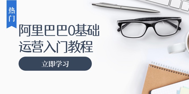 阿里巴巴运营零基础入门教程:涵盖开店、运营、推广,快速成为电商高手-资源社