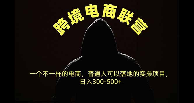 跨境电商联营，一个不一样的电商，普通人可操作日入300-500+-资源社