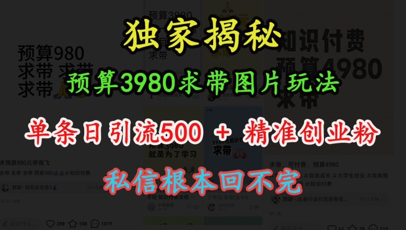 预算3980求带 图片玩法，单条日引流500+精准创业粉，私信根本回不完-资源社