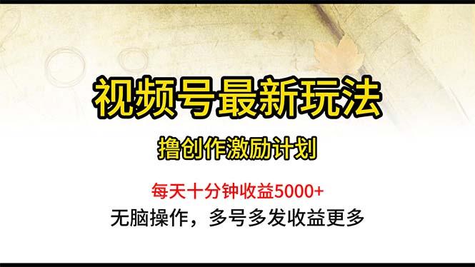 视频号最新玩法，每日一小时月入5000+-资源社