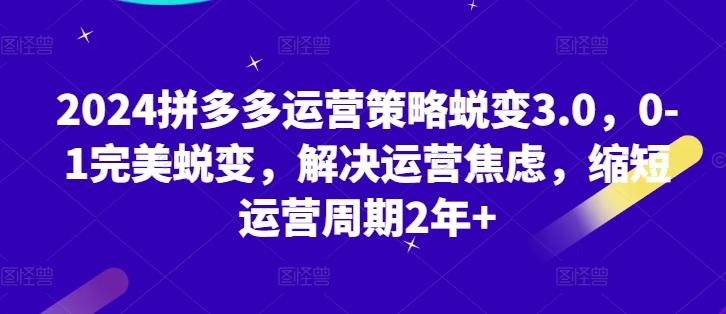 2024拼多多运营策略蜕变3.0，0-1完美蜕变，解决运营焦虑，缩短运营周期2年+-资源社