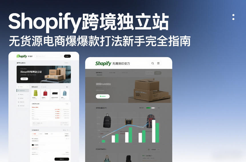 Shopify跨境独立站无货源电商爆款打法新手完全指南-资源社