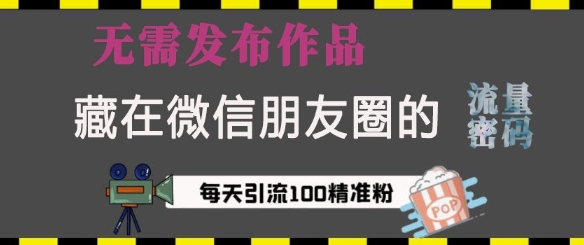 藏在微信朋友圈的流量密码，无需发布作品，单日引流100+精准创业粉【揭秘】-资源社