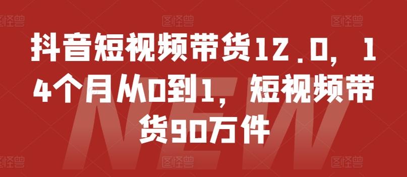 抖音短视频带货12.0，14个月从0到1，短视频带货90万件-资源社