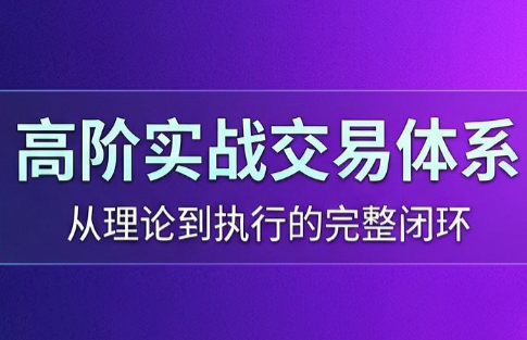 高老师·高阶实战交易体系(更新6月)-资源社