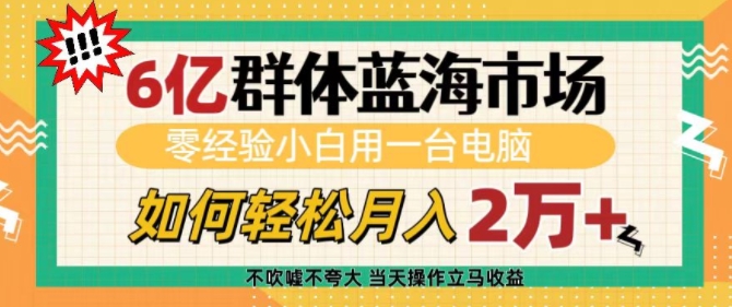 6亿群体蓝海市场，零经验小白用一台电脑，如何轻松月入过w【揭秘】-资源社