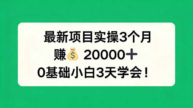 最新项目实操3个月，赚钱20000+，0基础小白3天学会！-资源社