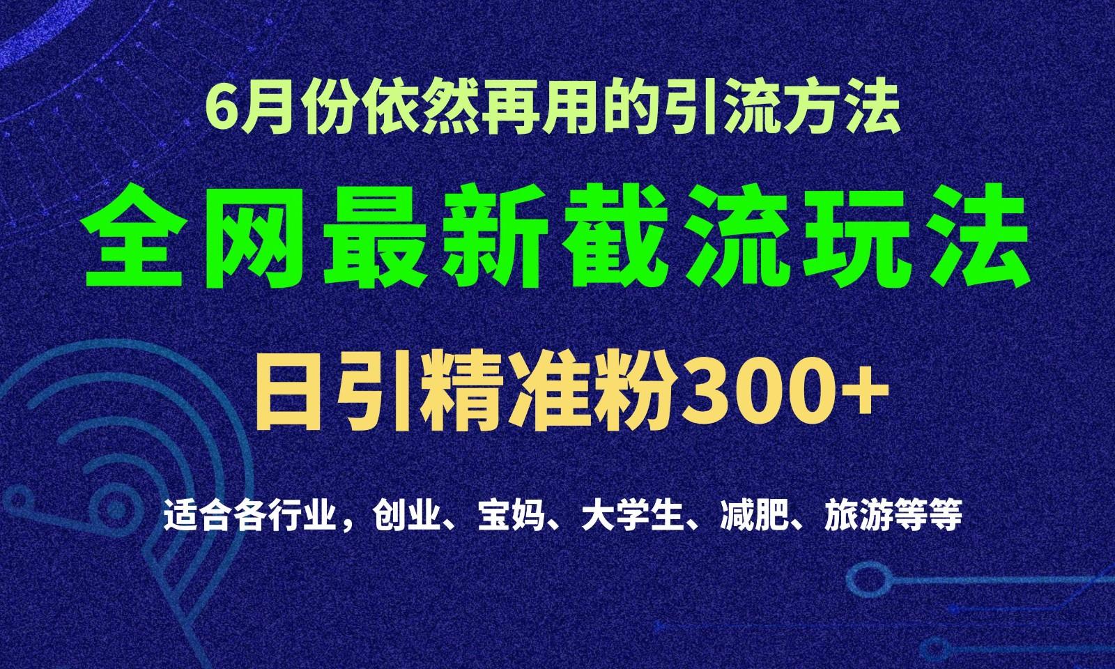 2024全网最新截留玩法，每日引流突破300+-资源社