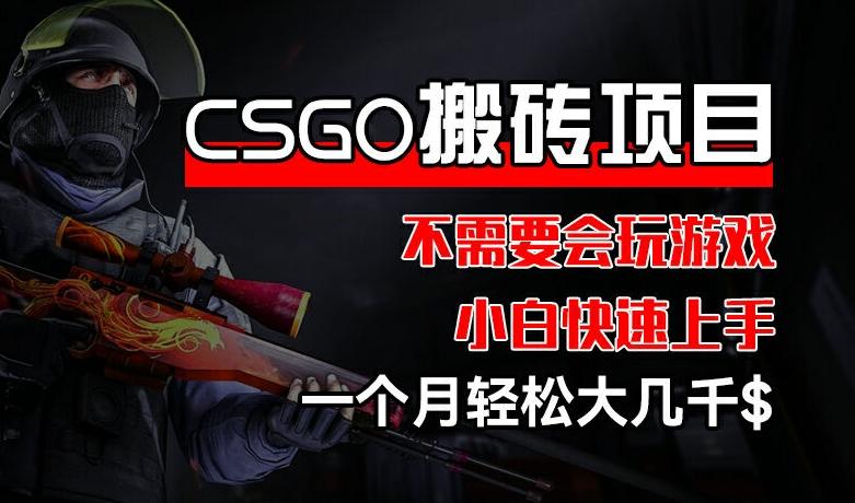 CSGO 装备搬砖项目，操作简单，不需要会玩游戏，小白也能快速上手，一个月轻松大几千【揭秘】-资源社