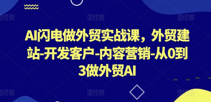 AI闪电做外贸实战课，​外贸建站-开发客户-内容营销-从0到3做外贸AI(更新)-资源社