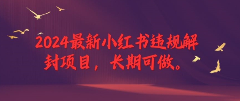 2024最新小红书违规解封项目，长期可做，一个可以做到退休的项目【揭秘】-资源社