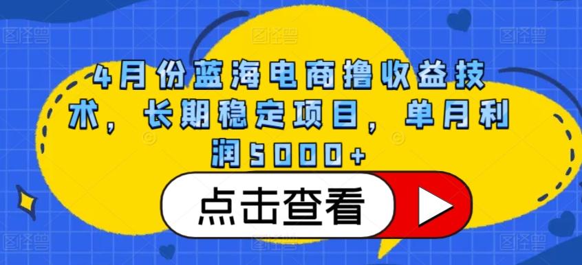 4月份蓝海电商撸收益技术，长期稳定项目，单月利润5000+【揭秘】-资源社