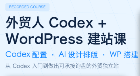 大卫·外贸人Codex + WordPress建站课(更新8月)-资源社