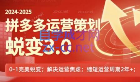 大力老师·2024拼多多运营策略蜕变3.0-资源社