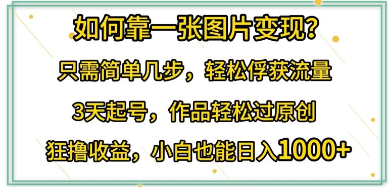 如何靠一张图片变现?只需简单几步，轻松俘获流量，3天起号，作品轻松过原创【揭秘】-资源社