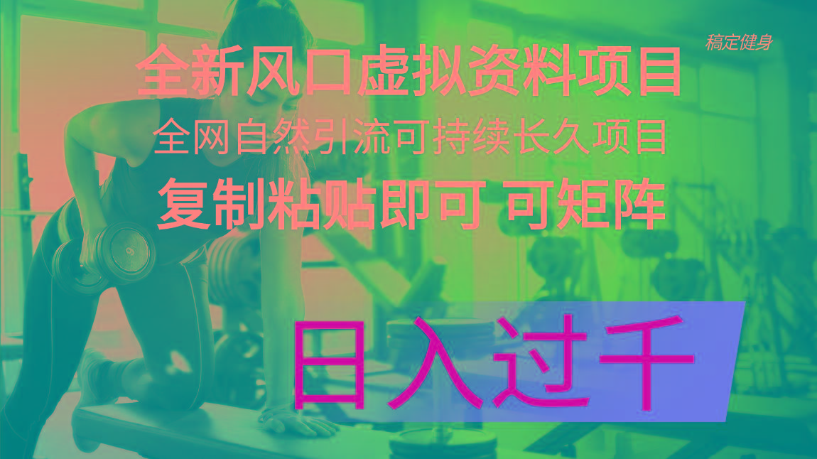 全新风口虚拟资料项目 全网自然引流可持续长久项目 复制粘贴即可可矩阵…-资源社