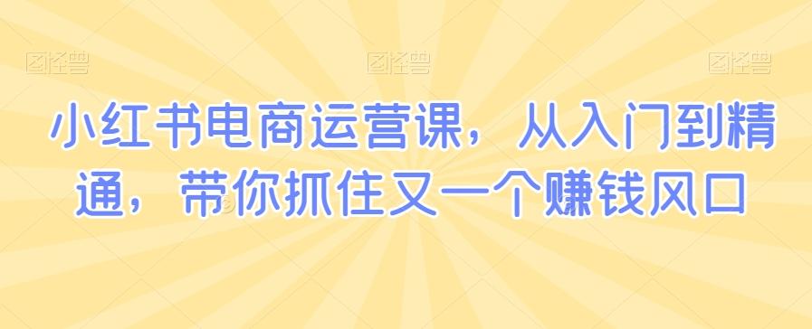 小红书电商运营课，从入门到精通，带你抓住又一个赚钱风口-资源社